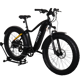 Aventon Aventure 1