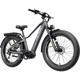 Heybike Alpha
