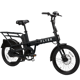 Radio Flyer Folding Cargo
