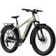 Aventon Aventure 3 Step-Over
