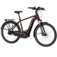 Bergamont E-Horizon Premium Pro
