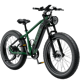 Heybike Brawn