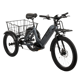Buzz Cerana T2