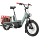 Cannondale Cargowagen Neo