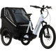 Cube Trike Family Hybrid