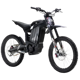 Cyberbike Charger R1