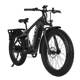 CYKE Cheetah