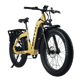 CYKE Lynx