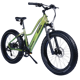 Dirwin Pioneer Lite