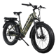 Dirwin Pioneer Plus
