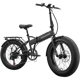 E Movement Panther v4.2