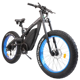 Ecotric Bison