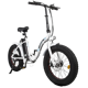 Ecotric Dolphin