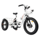 Ecotric Electric Tricycle