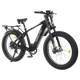 Ecotric Explorer
