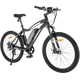 Ecotric Leopard