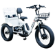 Emojo Bison Pro Urban Cruiser