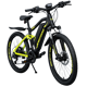 EMotorad EMX