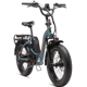 Rad Power RadExpand 5 Plus