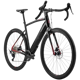Fuji E-Jari