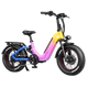 Heybike Ranger 3.0 Pro Limited