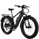 Lectric XPeak2 High-Step Long-Range