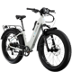 Lectric XPeak2 Step-Thru Long-Range