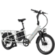 Lectric XPedition2