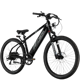 Lectric XPress 750 High-Step