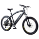Life EV Phantom XR
