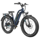 Magicycle Cruiser Pro