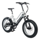 Pedego Element Platinum Edition