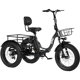 Qlife Triker Plus