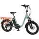 Retrospec Roo Rev