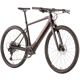 Santa Cruz Skitch 1 CC GX AXS-F