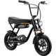 Schwinn Hurricane