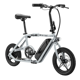 Schwinn Twister