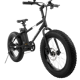 Swagtron EB6