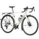 Trek Domane+ ALR 6 AXS