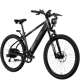 Lectric XPress High-Step