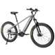 YOUNG ELECTRIC E-DualRide