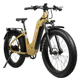 YOUNG ELECTRIC E-Scout Pro Step-Through