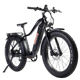 YOUNG ELECTRIC -Scout Fat Tire