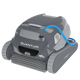 Dolphin Quantum
