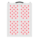 Youlumi IRP010-04T 