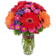 FlowerAdvisor