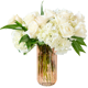 Flowers for Dreams
