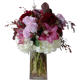 Orchid Republic