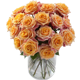 Rose Farmers