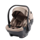 egg Shell